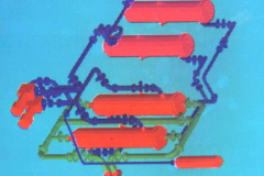 Early-process-plant-model-in-Bugstore-2