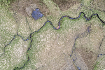 River Valley, Ardnamurchan peninsula, Scotland