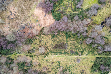East Ruston Heath, Norfolk