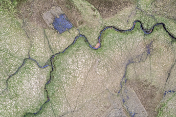 DJI_0155-HDR