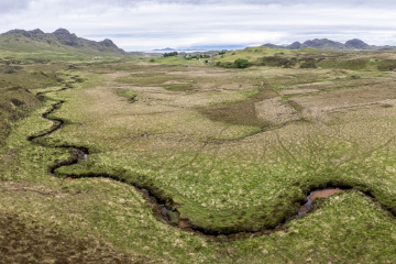 Ring Dyke