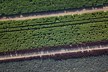 DJI_0031