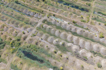 DJI_20260821131204_0007_D