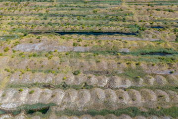 DJI_20260821131350_0019_D