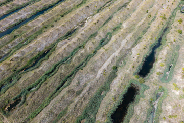 DJI_20260821131411_0023_D