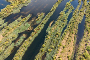 DJI_20260821134426_0001_D