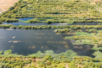 DJI_20260821134548_0006_D