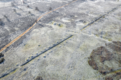 WW2 Glider traps