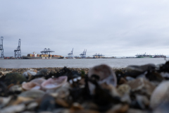 DJI_0174