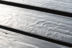 Agricultural fleece