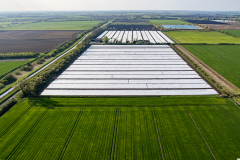 Fleece-covered fields