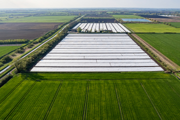 Fleece-covered fields