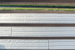 Agricultural fleece