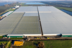 These greenhouses are also tall!