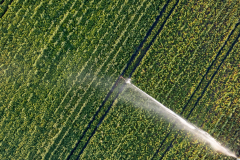 Irrigation