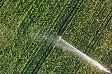 Irrigation