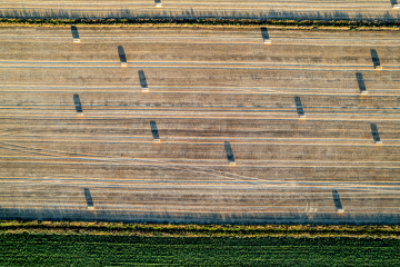 DJI_0815-HDR