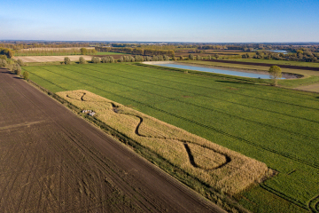 20181021-DJI_0015