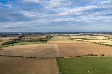 DJI_0099-HDR