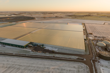 Winter sun on the Lazy Otter Mega-greenhouse