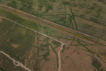 Close-up of part of the site