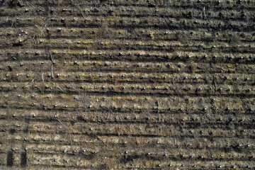 DJI_0680-HDR