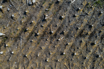 DJI_0695-HDR