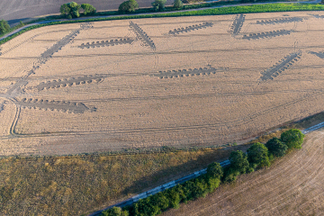 Archaeological Trenches