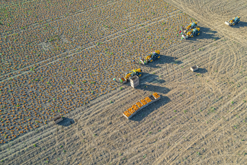 DJI_0118 DJI_0118