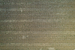 DJI_0123-HDR DJI_0123-HDR