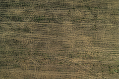 DJI_0111-HDR DJI_0111-HDR