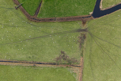 DJI_20251127120855_0038_D-HDR