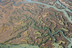 DJI_20250318133537_0016_D-HDR