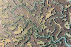 DJI_20250318133617_0021_D-HDR