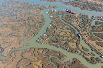 DJI_20250318133643_0026_D-HDR