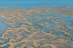 DJI_20250318133727_0031_D-HDR