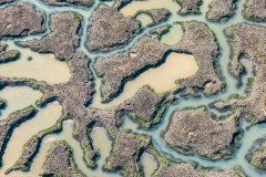 DJI_20250318133903_0051_D-HDR