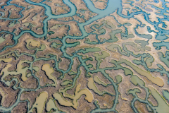 DJI_20250318134156_0071_D-HDR