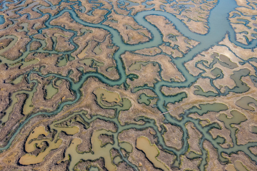 DJI_20250318134251_0076_D-HDR