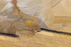 DJI_20250404133437_0016_D