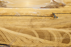 DJI_20250404133738_0036_D