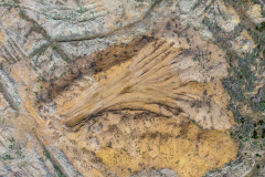 DJI_20250422142038_0262_D-HDR