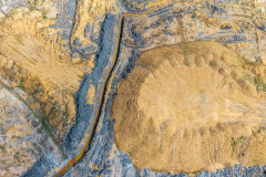 DJI_20250422142622_0301_D-HDR