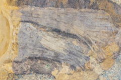 DJI_20250422143034_0316_D-HDR