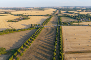 Looking south