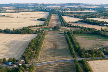 Looking south
